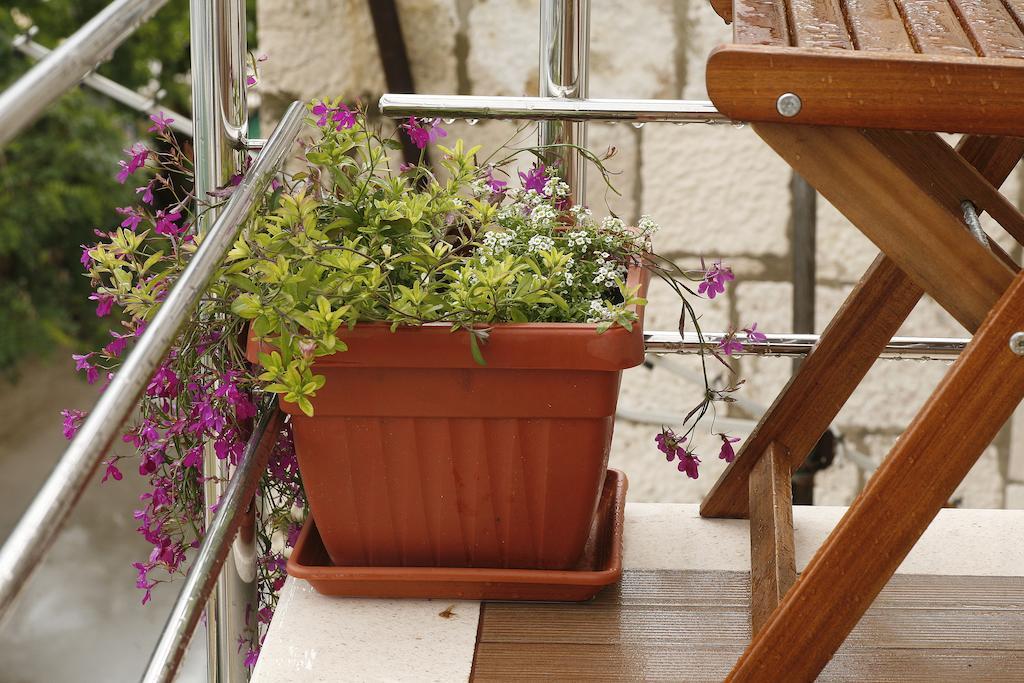 Marina Guesthouse Korčula Zewnętrze zdjęcie